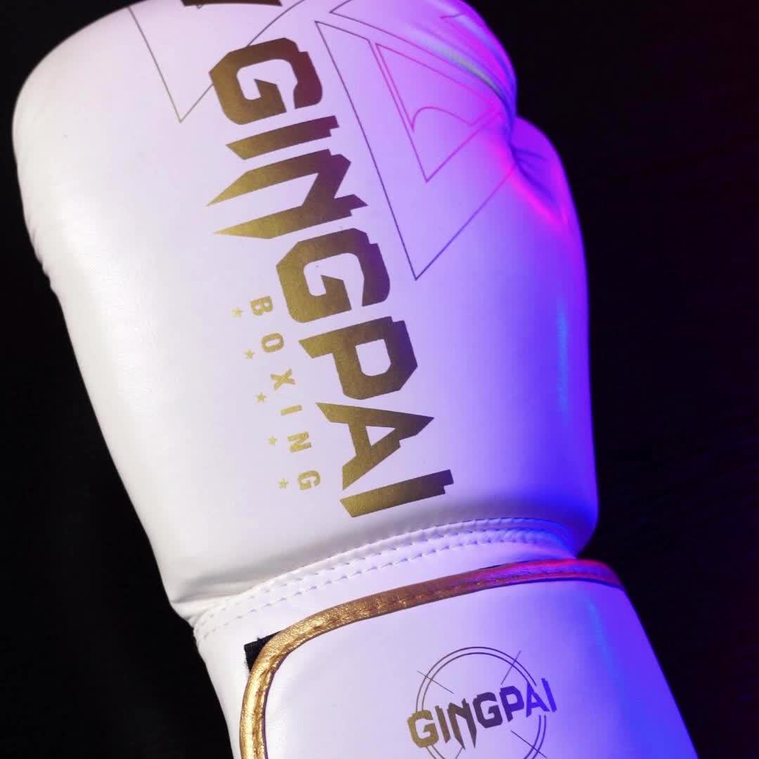 Professional Boxing Gloves - Thai Boxing & Kickboxing Gloves 6-14oz