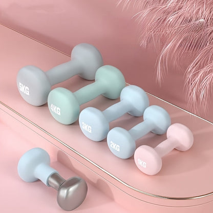 Cast Iron Dumbbells Set - High-Density Strength Training Weights